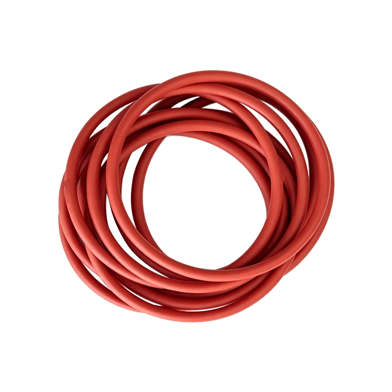 O-Ring